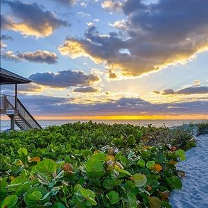 Meet your Posher, Leslie